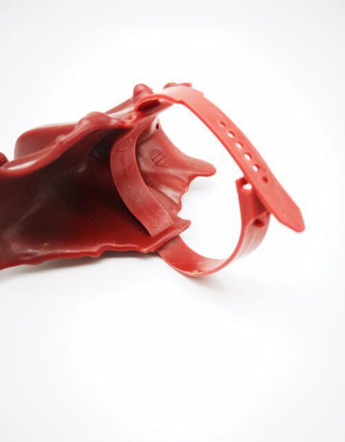 MOTU / Battlecat 100% komplett #1 – Bild 10