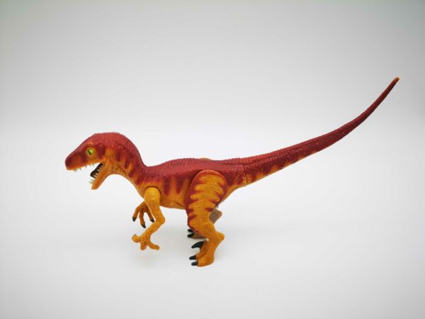 2023-07-13-16_optimized.29.23