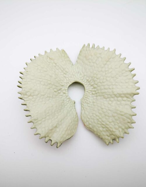 Jurassic Park / JP11 Dino-Screams Dilophosaurus 100% komplett #1 – Bild 7