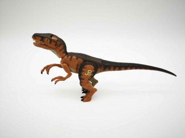 2023-07-13-16_optimized.50.02