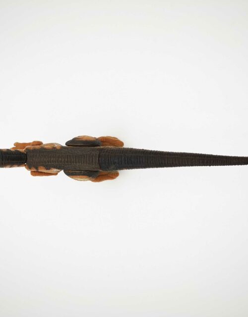 Jurassic Park / JP3 Velociraptor 100% komplett #3 – Bild 3