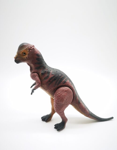 Dino Rider / Pachycephalosaurus