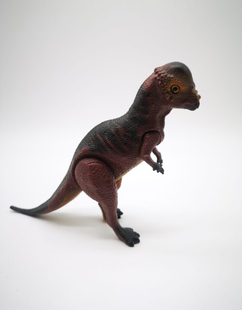 Dino Rider / Pachycephalosaurus – Bild 2